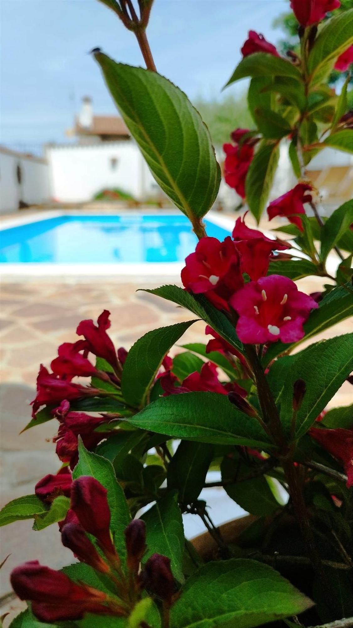 Villa "Pied-A-Terre" Residence & Spa Umag Exterior photo