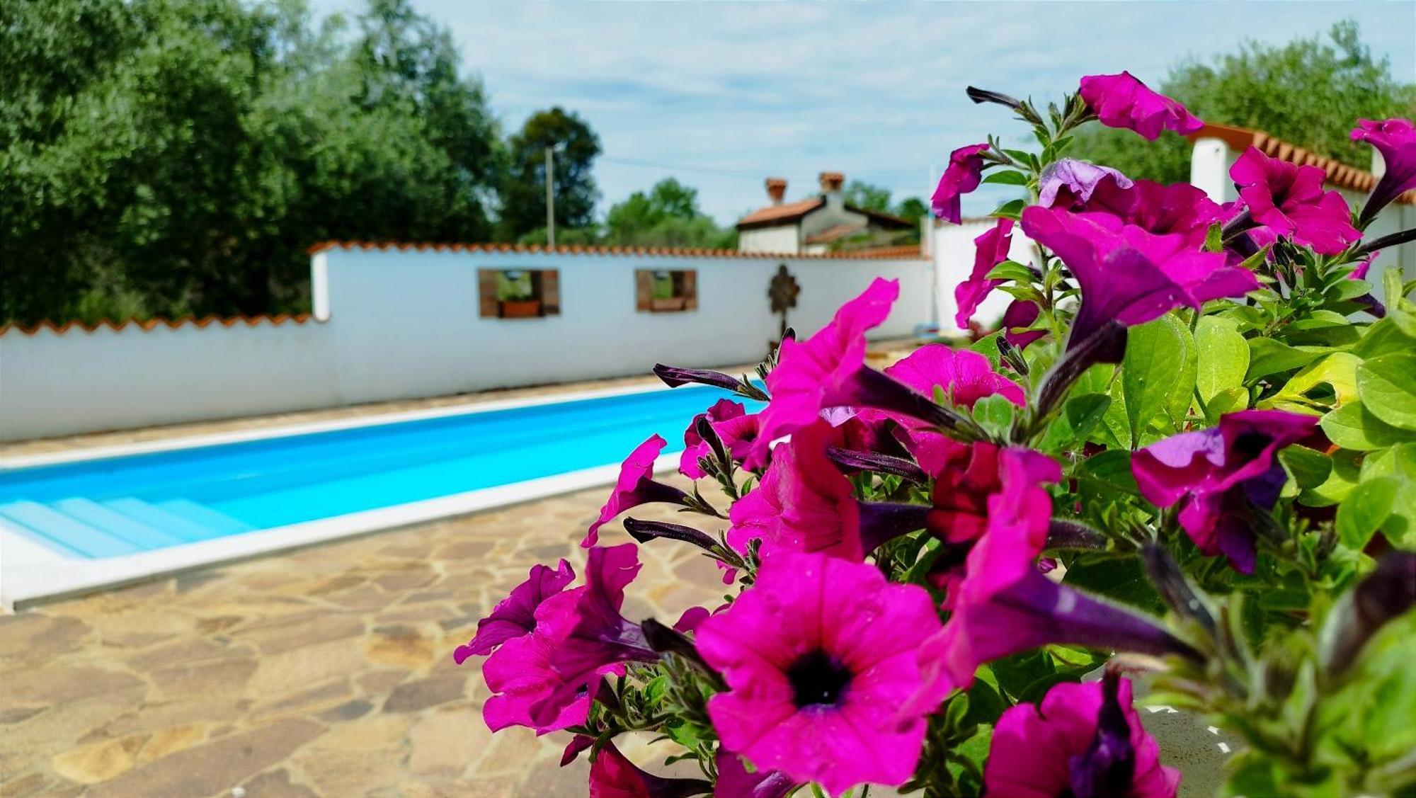 Villa "Pied-A-Terre" Residence & Spa Umag Exterior photo